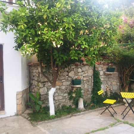 Ortaca  Nehir Dalyan Boutique Otel מראה חיצוני תמונה