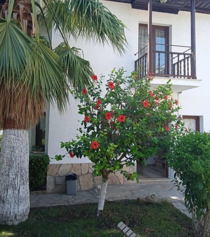 Ortaca  Nehir Dalyan Boutique Otel מראה חיצוני תמונה